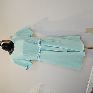 Anthropologie hutch mint green fit and flare dress size L